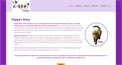Desktop Screenshot of poppyfoundation.org